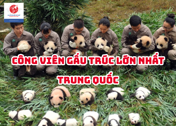 TIN-TUC-HOA-BINH